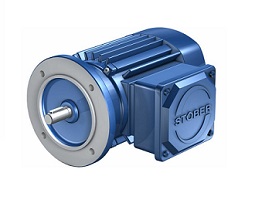 Asynchronous Servo Motors